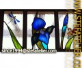 vitrail iris et elfe