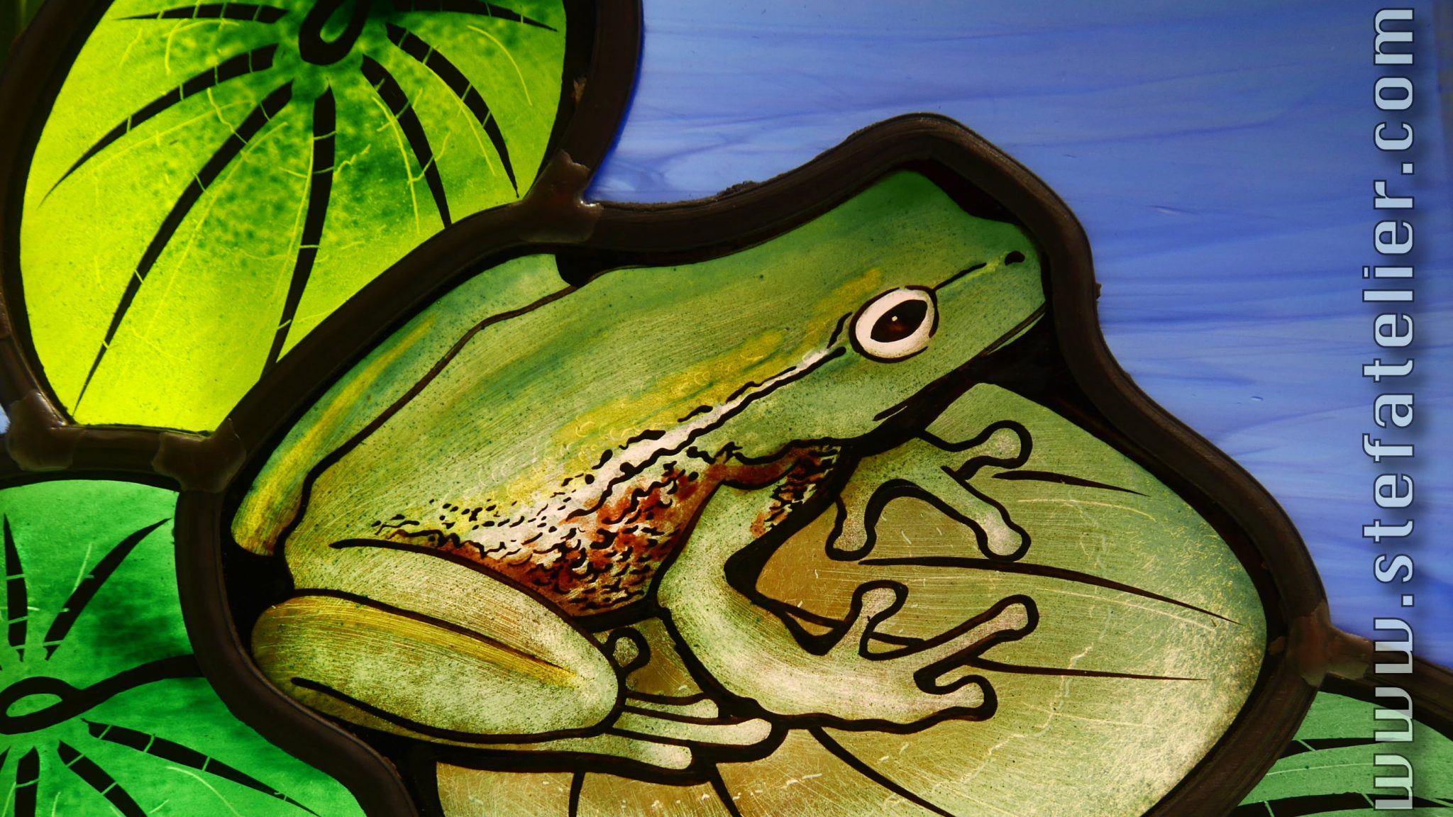 détail vitrail grenouille sur feuille de nénuphar
